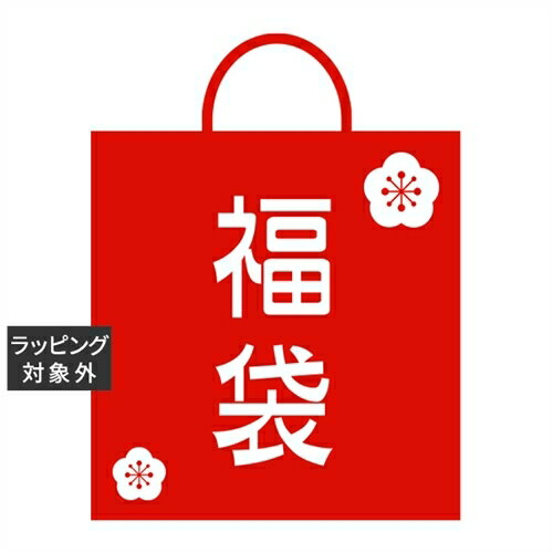 送料無料 福袋 美容サロンコスメ/ヘアケアお楽しみ福袋C | lucky bag スキンケアコフレ