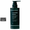 ケアネス テラケアトリートメント 400g | 激安 CARENESS コンディショナー