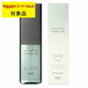ホーユー プロマスター カラーケア カーミー アウトバス シャイン | スーパーSALE スーパーセール 激安 hoyu ヘアエッセンス