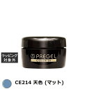 プリジェル プリジェル カラーEX CE214 天色 (マット) | スーパーSALE スーパーセール 激安 PREGEL ネイル用品