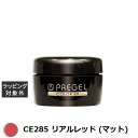 プリジェル プリジェル カラーEX CE285 リアルレッド (マット) | スーパーSALE スーパーセール 激安 PREGEL ネイル用品