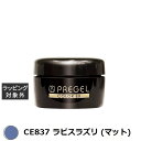 プリジェル プリジェル カラーEX CE837 ラピスラズリ (マット) | 激安 PREGEL ネイル用品