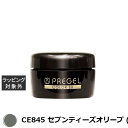 プリジェル プリジェル カラーEX CE845 セブンティーズオリーブ (マット) | 激安 PREGEL ネイル用品