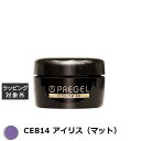プリジェル プリジェル カラーEX CE814 アイリス(マット) | スーパーSALE スーパーセール 激安 PREGEL ネイル用品