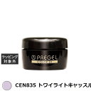 プリジェル プリジェル カラーEX CEN835 トワイライトキャッスルneo (マット) | 激安 PREGEL ネイル用品