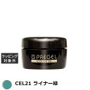 プリジェル プリジェル カラーEX CEL21 ライナー緑 | 激安 PREGEL ネイル用品