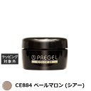 プリジェル プリジェル カラーEX CE884 ペールマロン (シアー) | 激安 PREGEL ネイル用品