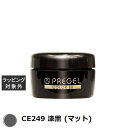 プリジェル プリジェル カラーEX CE249 漆黒 (マット) | 激安 PREGEL ネイル用品
