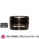 プリジェル プリジェル カラーEX PG-CE905 フラッシュベリー (シアー) | 激安 PREGEL ネイル用品