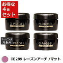 送料無料 プリジェル プリジェル カラーEX CE289 レーズンアーチ /マット 4セット | PREGEL ネイル用品