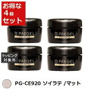 送料無料 プリジェル プリジェル カラーEX PG-CE920 ソイラテ /マット 4セット | PREGEL ネイル用品