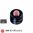 プリジェル プリムドール 609 ピーチシュシュ 3g | 激安 PREGEL ネイル用品