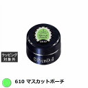プリジェル プリムドール 610 マスカットポーチ 3g | 激安 PREGEL ネイル用品