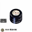 プリジェル プリムドール B10 魔法の鏡 3g | 激安 PREGEL ネイル用品