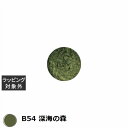 プリジェル プリムドール B54 深海の森 3g | 激安 PREGEL ネイル用品