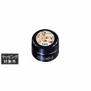 プリジェル プリムドール B74 キャラメルチョコナッツ 3g | 激安 PREGEL ネイル用品