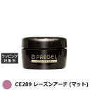 プリジェル プリジェル カラーEX CE289 レーズンアーチ (マット) | 激安 PREGEL ネイル用品