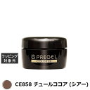プリジェル プリジェル カラーEX CE858 チュールココア (シアー) | 激安 PREGEL ネイル用品