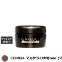 プリジェル プリジェル カラーEX CEN824 マルサラの大地neo (マット) | 激安 PREGEL ネイル用品