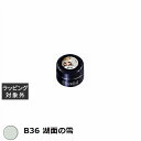 プリジェル プリムドール B36 湖面の雪 3g | 激安 PREGEL ネイル用品