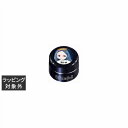 プリジェル プリムドール B48 星に願いを 3g | 激安 PREGEL ネイル用品