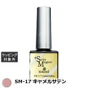 ココイスト サテンマグネット SM-17 キャメルサテン 10g | 激安 KOKOIST ネイル用品