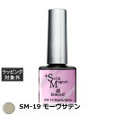 ココイスト サテンマグネット SM-19 モーヴサテン 10g | 激安 KOKOIST ネイル用品