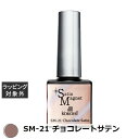 ココイスト サテンマグネット SM-21 チョコレートサテン 10g | 激安 KOKOIST ネイル用品