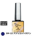 ココイスト サテンマグネット SM-22 アプリコットサテン 10g | 激安 KOKOIST ネイル用品