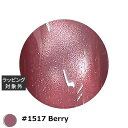 アイスジェル アイスジェル A BLACK ミストスターギャラクシージェル #1517 Berry 3g | 激安 ICEGEL ネイル用品