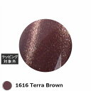 アイスジェル A BLACK ステラスターギャラクシージェル 1616 Terra Brown 3g | 激安 ICEGEL ネイル用品