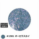 アイスジェル A BLACK オーロラフラッシュオンオフジェル #1581 オーロラスカイ 3g | 激安 ICEGEL ネイル用品