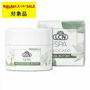 LCN スパ ネイルバター 15ml | スーパーSALE スーパーセール 激安 LCN ネイルケア