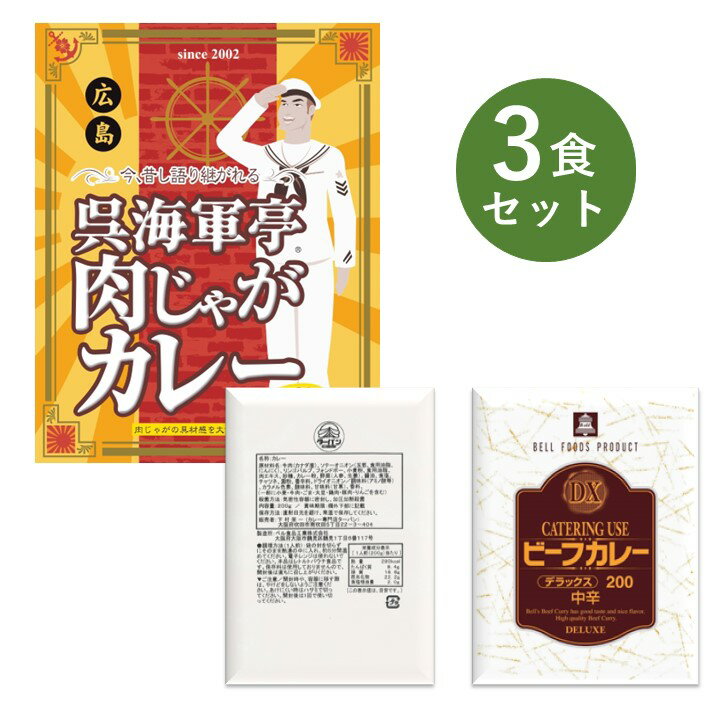 レトルトカレー お試し 3食 セット DX デラックス ター