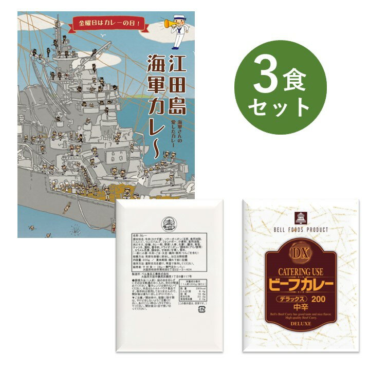 レトルトカレー お試し 3食 セット DX デラックス ター