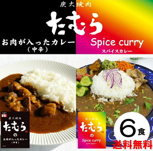 焼肉たむら カレー レトルト 人気 3種類 6個 セット 詰め合わせ 名店 お肉 中辛 スパイス キーマ アソート たむらけんじ