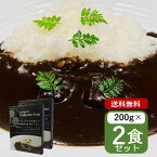 ナベノイズム ブラックカレー ミシュラン二つ星 渡辺シェフ監修 レトルトカレー ビーフカレー 黒いカレー 東京 名店カレー 高級 200g 2個セット 送料無料 まとめ買い