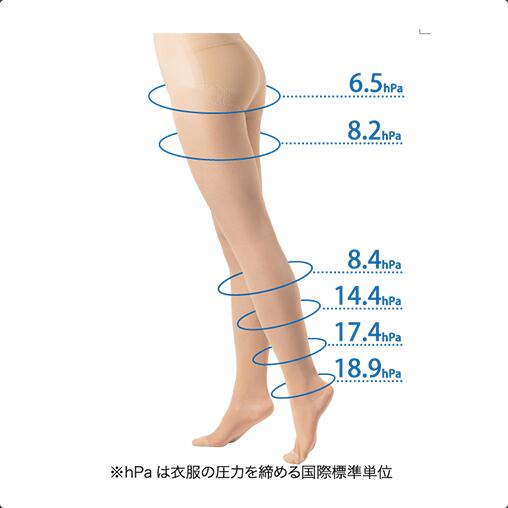 Belle Nail 楽天市場店の【スーパーSALE限定クーポン有】【選べるサイズ】フェース ロマンスシェレーヌ ストッキング ベージュ M L LL サロン専売品 送料無料 ふぇーす 着圧ストッキング 着圧 むくみ｜アングル2