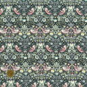 【LIBERTY FABRICS】 エターナル タナローン Strawberry Thief ストロベリーシーフ 3635061-le リバティ ファブリックス