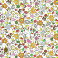 LIBERTY FABRICS 2023 ꥢʥ Odette ǥå ե 363j7303-a Хƥե֥å