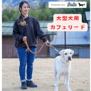 パラコートリード カフェリード リード 型大型犬用リード 大型犬用カフェリード 大型犬用パラコートリード オーダーメイド 犬用リード ハンドメイド カラフルリー...