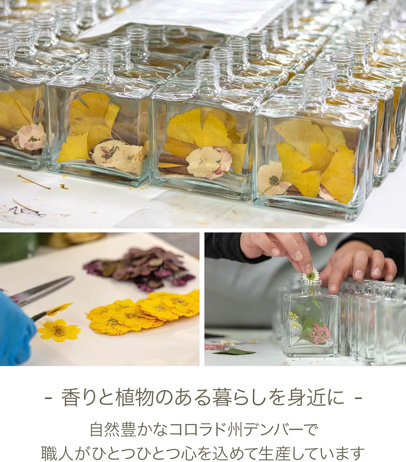 Rosy Rings ロ―ジ―リングス