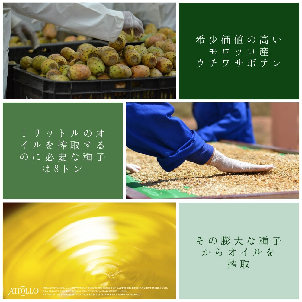 ウチワサボテン オイル美容液 アトロエッセンス ATTOLLO Essence オーガニック モロッコ産 ウチワサボテン種子オイル アロエ　カクタスオイル2層式 オールインワン エッセンス スキンケア 美容液ギフト プレゼント belle-life-10007567 輸入セレクト【ベルメサージュ】 サンプル画像3