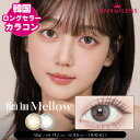 【日本公式】ANN365 ANN365LENS RichAnn メロウ Mellow メロウブラウン メロウグレー 韓国 カラコン ワンデー 1day コンタク...