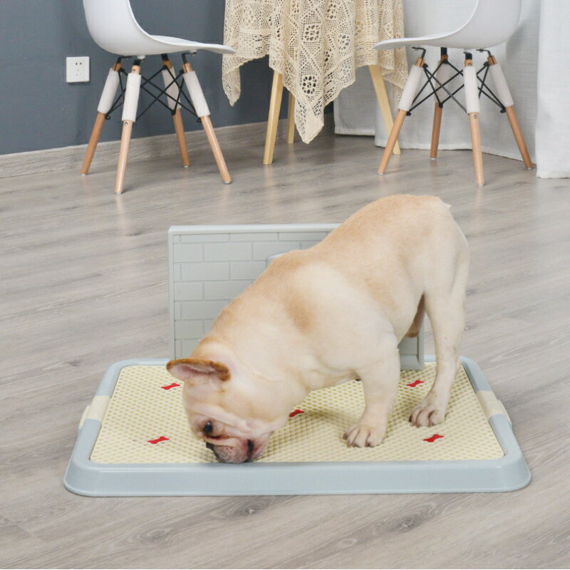 ������̵���۸��ȥ��� ���ȥ���ȥ졼 ���Ĥ��륦������ȥ졼 ���ѥȥ��� ���Ĥ��� �ȥ졼�˥� �ڥåȥȥ��� �ե���줷�ˤ��� ���ӻ����ɻ� �Ҥä����ɻ� ��ñ��괹�� S M �緿�� �淿�������� ­�夲 ��������ǽ �Ȥ�Ω�ƴ�ñ ���ݽ��� ��å����դ� ���Υ� ���Τ�