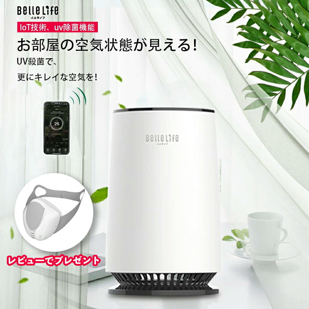 【大特価セール～3500円クーポン進呈中！】空気清浄機 除菌