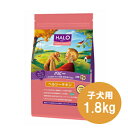 HALO ハロー パピー 小粒 ...