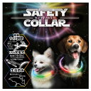 【最大2000円マラソン限定クーポン】セーフティカラー 65 スペクトラム【犬用首輪/カラー/ライト/夜道】【39ショップ】