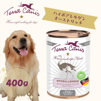 ☆早いもの勝ちSS限定クーポン☆テ...