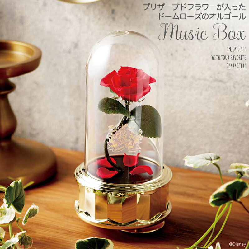 ガラスドーム 花 バラ ローズ USA Party Flower LED Valentines Rose in Glass Dome (Red) 【並行輸入品】